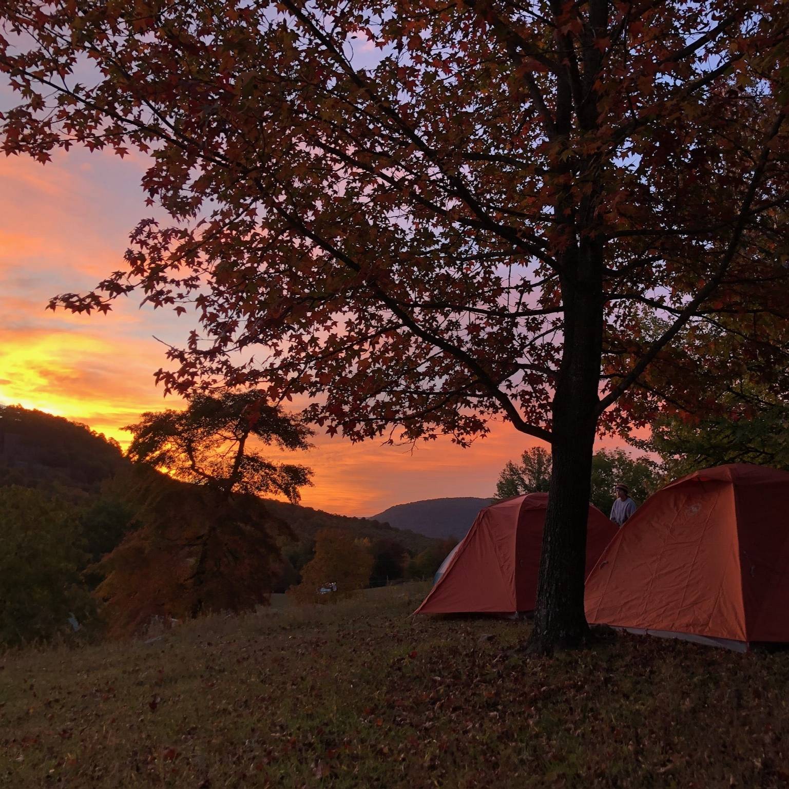 evening campsite