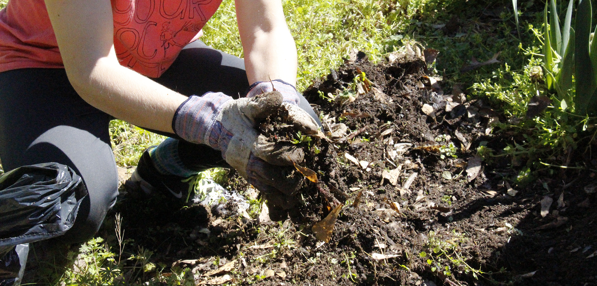 Ouachita celebrates 20th anniversary of Tiger Serve Day Sept. 24.